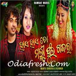 Hai Haai To Malli Phula Gajara